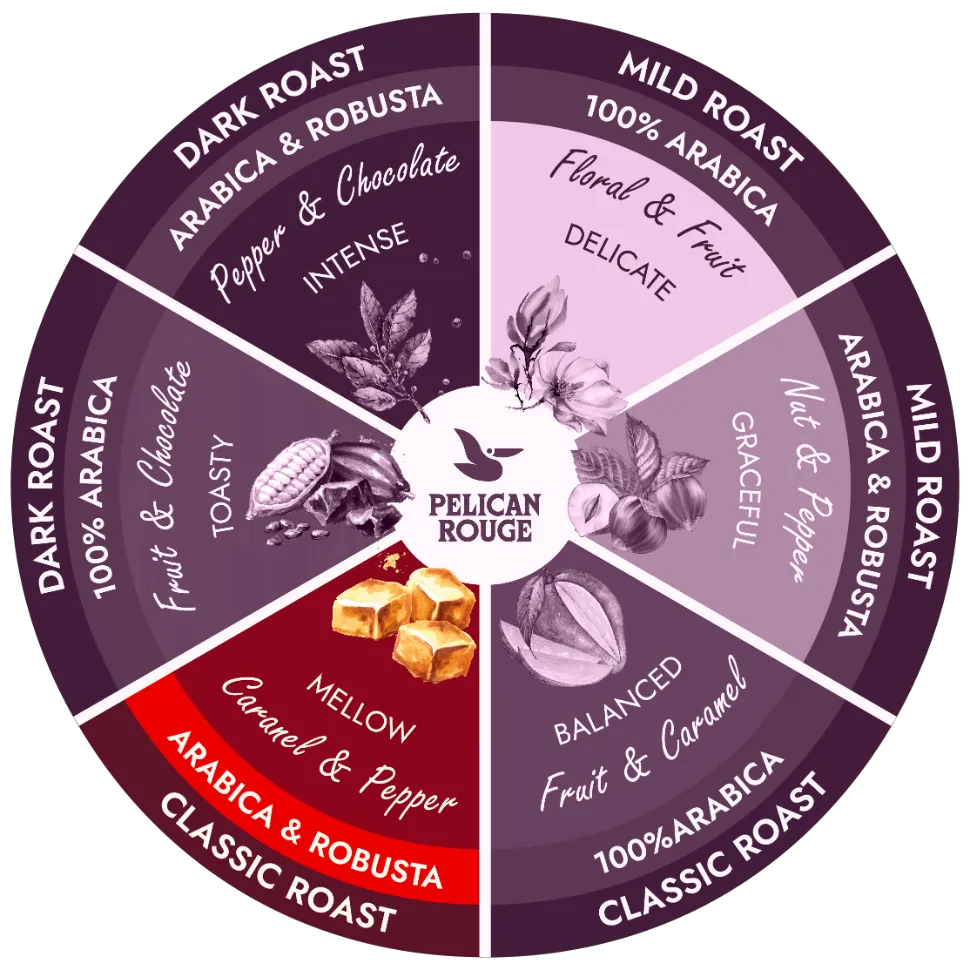 Flavour Wheel-Classic Roast - Arabica Robusta 4.png